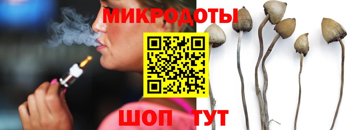 Псилоцибиновые грибы Psilocybe Трёхгорный